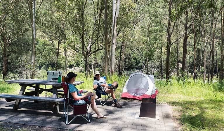 Top 5 National Parks for Camping Enthusiasts 