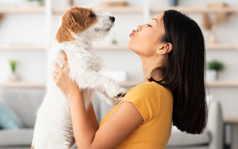 Sports and Pet Health: Keeping Your Furry Friend Fit and Happy