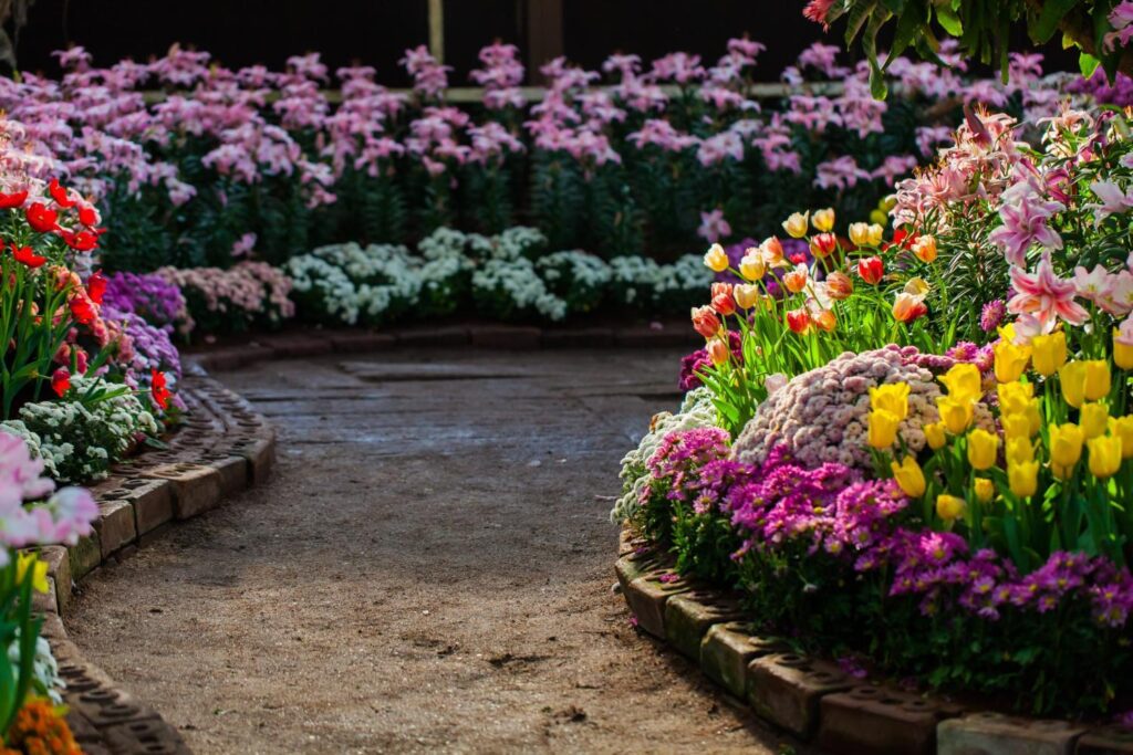 How to Design a Garden from Scratch: A Step-by-Step Guide