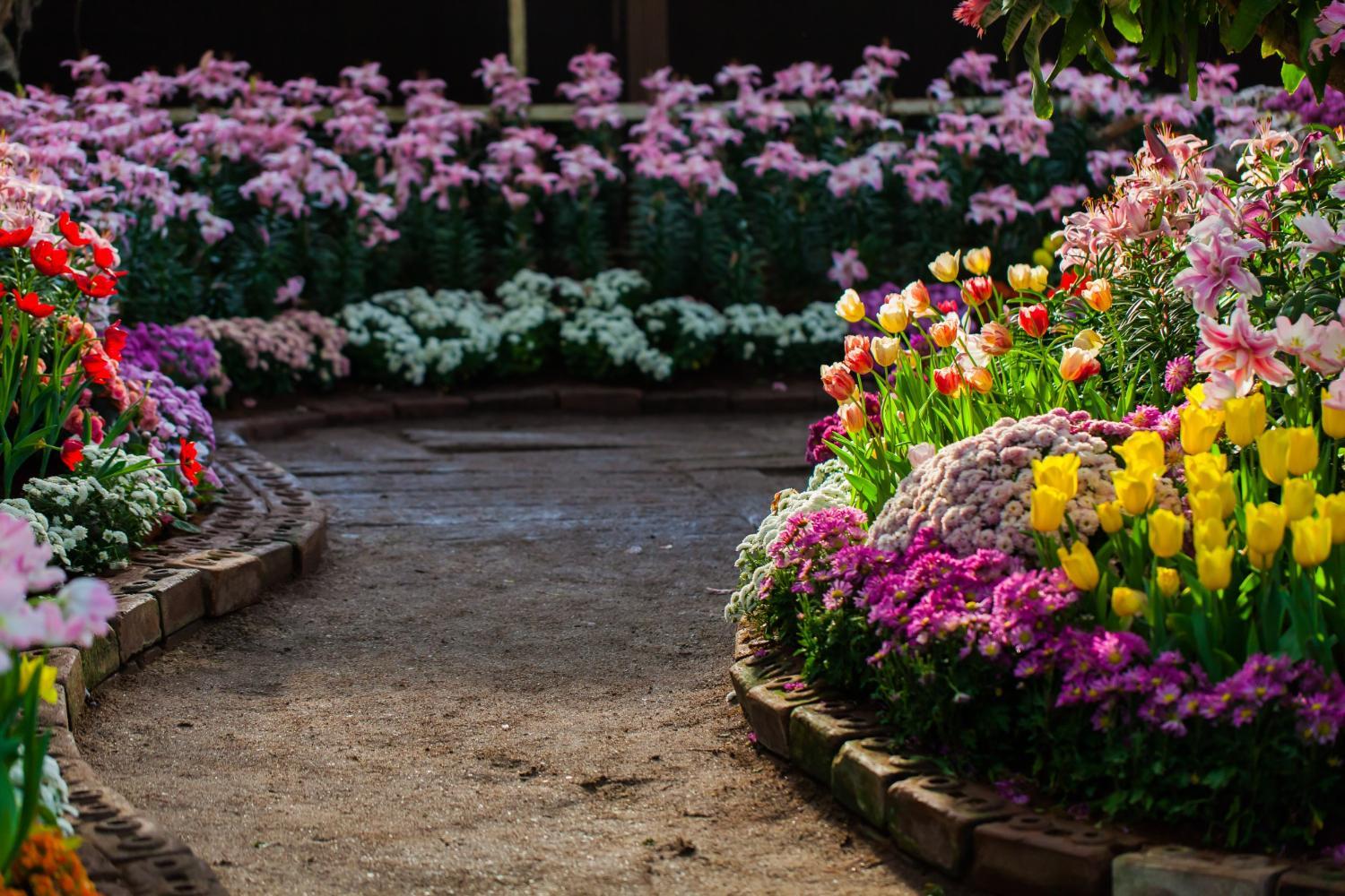 How to Design a Garden from Scratch: A Step-by-Step Guide