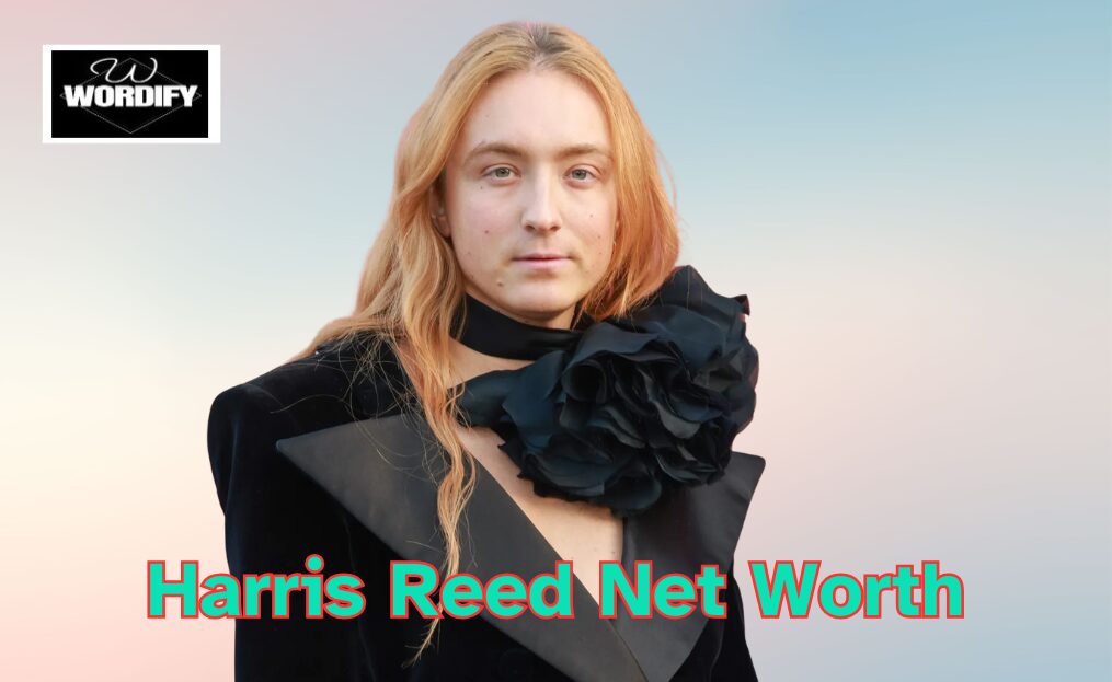 How Much Is Harris Reed Net Worth? Uncovering The Facts About His Age, Height, Husband, Collections, Fashion, & Rise to Fame