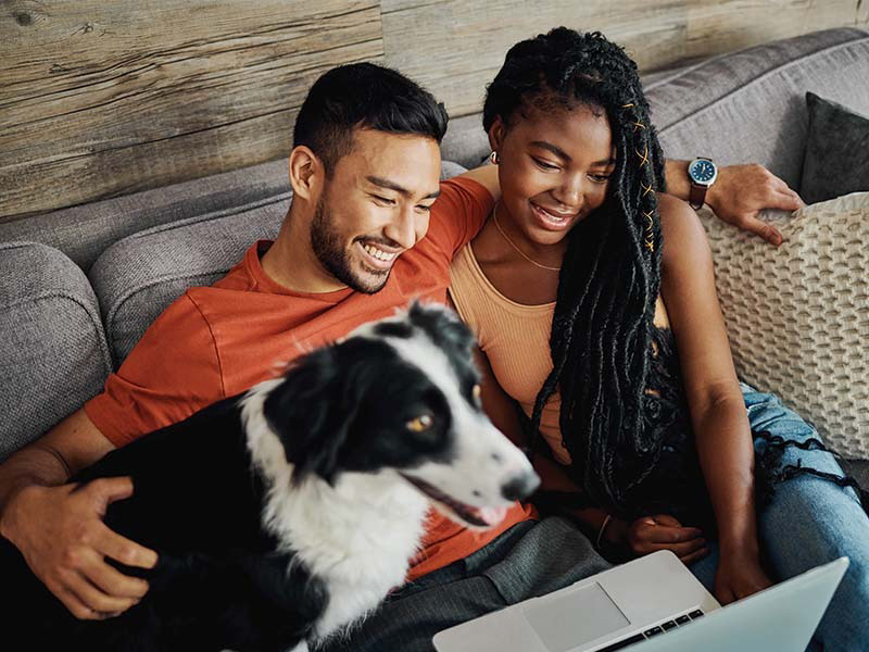 The Ultimate Pre-Departure Checklist for UK Pet Owners Moving to the UAE