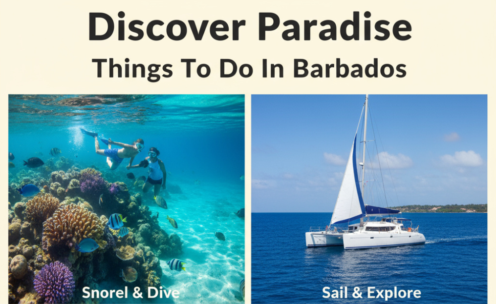 Things To Do In Barbados: A Comprehensive Guide To Explore Bridgetown, Visit Harrison’s Cave, Snorkel with Sea Turtles in Carlisle Bay, And Much More