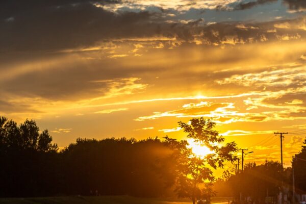Daylight and Sunlight Reports for Planning Permission: What UK Homeowners Should Know in 2026 